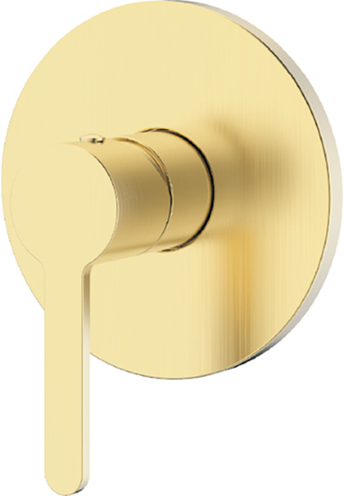 Attivo Concealed Mixer